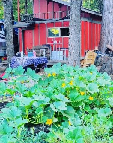 27035 North Bloomfield Road Nevada City, CA 95959 - Photo 6 of 8 a view of a house with backyard