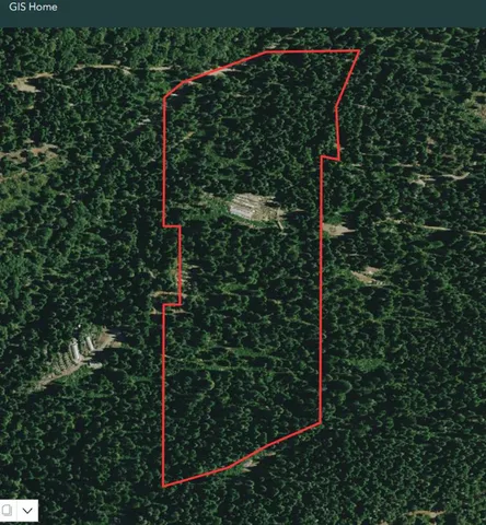 a view of a plant in a balcony