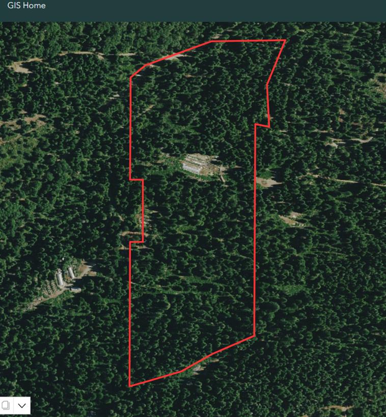 27035 North Bloomfield Road Nevada City, CA 95959 - Photo 8 of 8 a view of a plant in a balcony