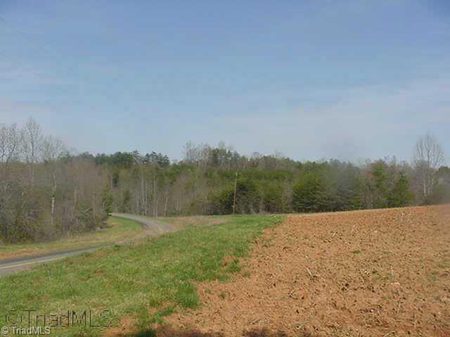0 Butner Road Pinnacle, NC 27043 - Photo 4 of 9 Other.