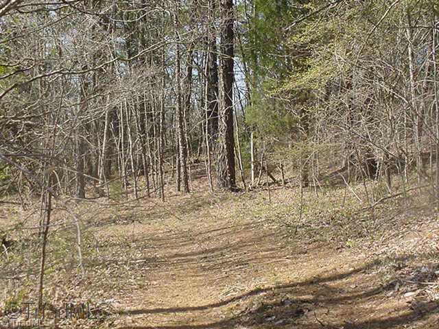 0 Butner Road Pinnacle, NC 27043 - Photo 5 of 9 Other.