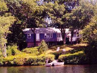 a view of a yard with large trees