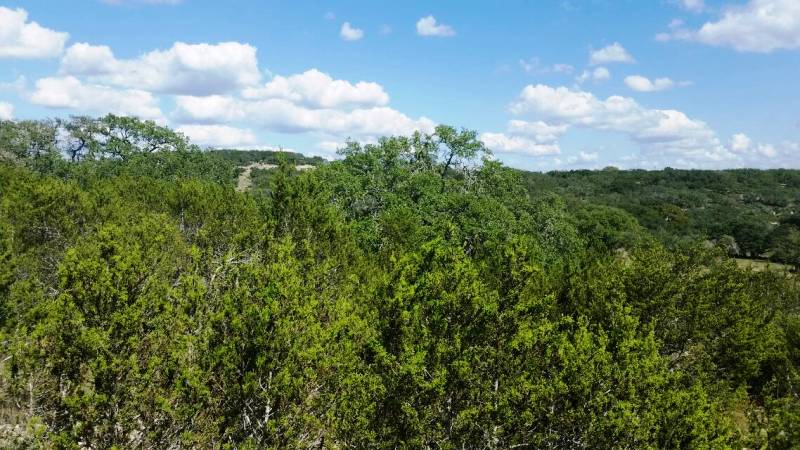 Tbd Taylor Ranch Road Wimberley, TX 78676 - Photo 1 of 1