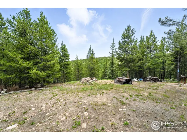 a view of a dry yard with trees