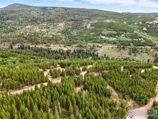 a view of a garden with a plant