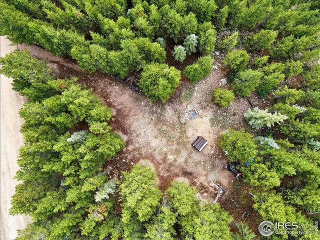 a picture of flowers