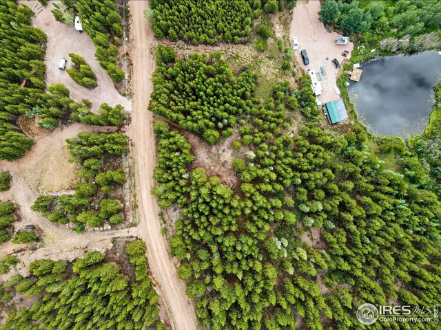 a view of a garden with plants