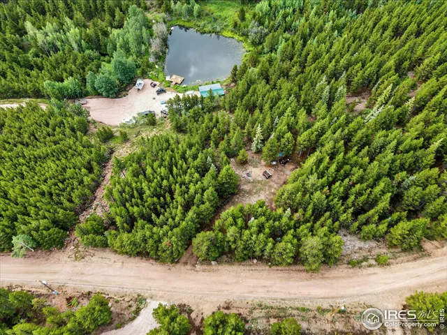 a view of a yard with plants