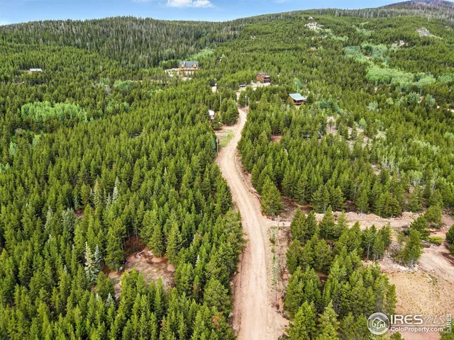 a view of a garden with a plant