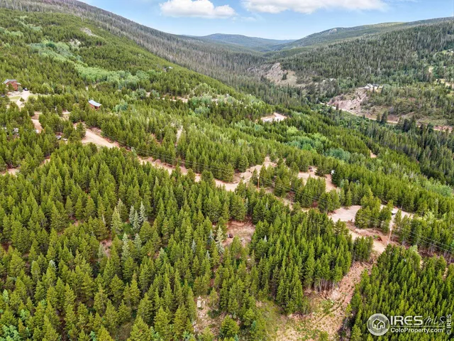 a view of a lush green forest with houses