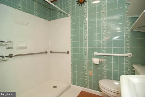 a bathroom with a shower and a toilet