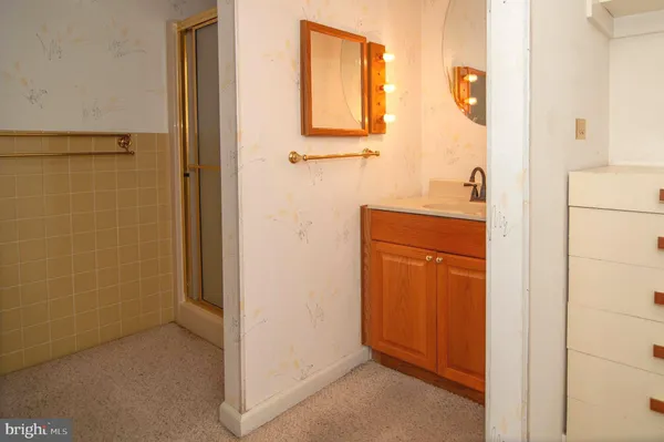 a bathroom with a sink a mirror and a shower