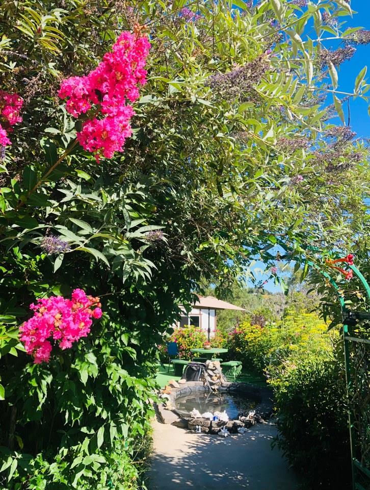 44800 Ahwahnee Acres Road Ahwahnee, CA 93601 - Photo 41 of 77 a view of a flower in a yard