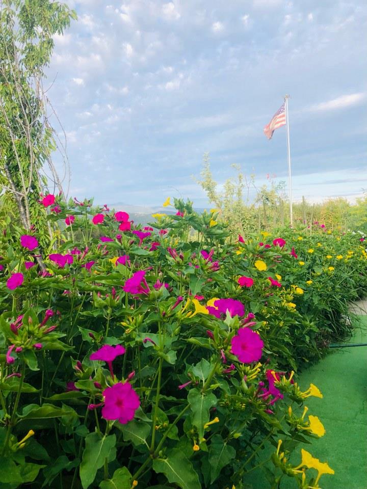 44800 Ahwahnee Acres Road Ahwahnee, CA 93601 - Photo 42 of 77