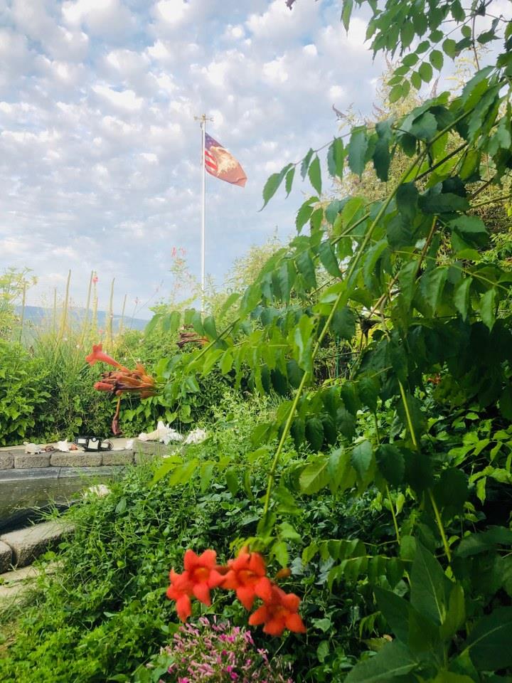 44800 Ahwahnee Acres Road Ahwahnee, CA 93601 - Photo 43 of 77 a view of a bunch of flowers