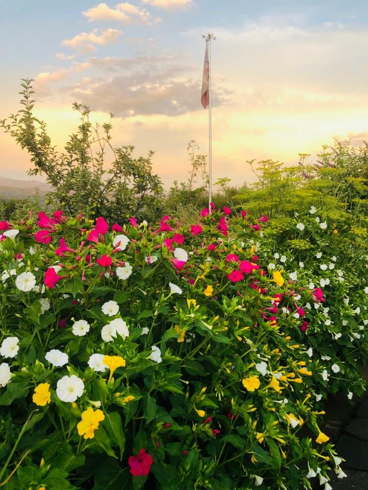 44800 Ahwahnee Acres Road Ahwahnee, CA 93601 - Photo 45 of 77