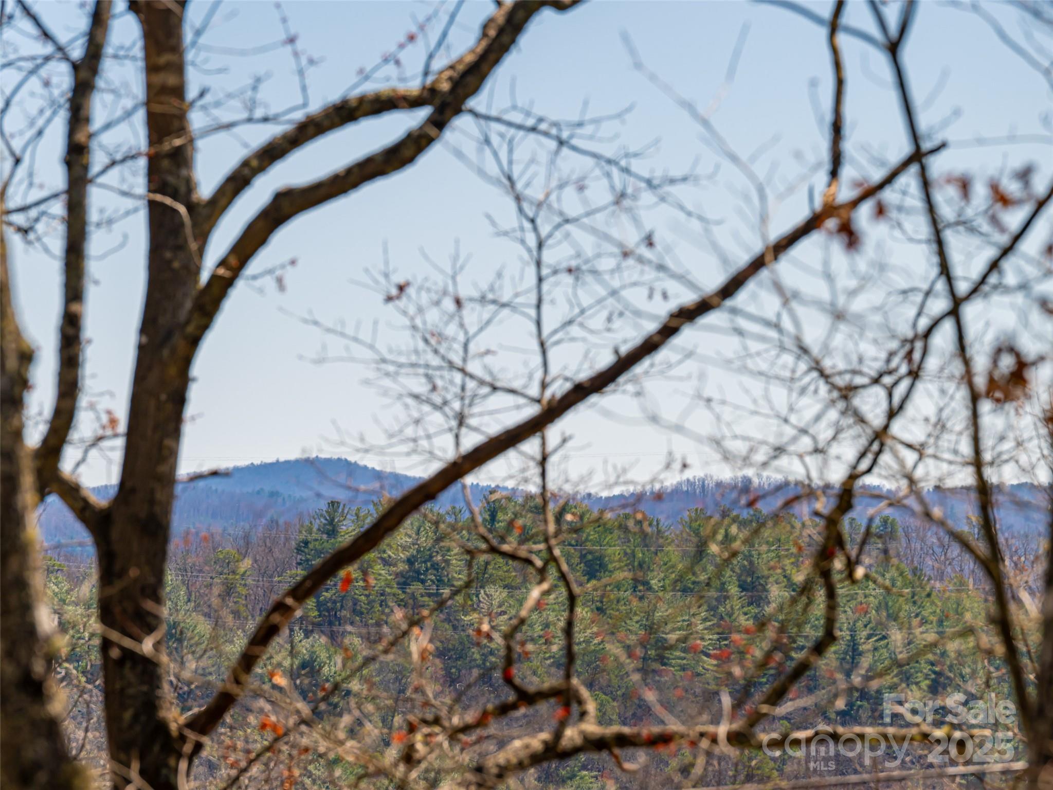 75 Deep Woods Road Mills River, NC 28759 - Photo 3 of 48 a view of a yard and a mountain view in the background