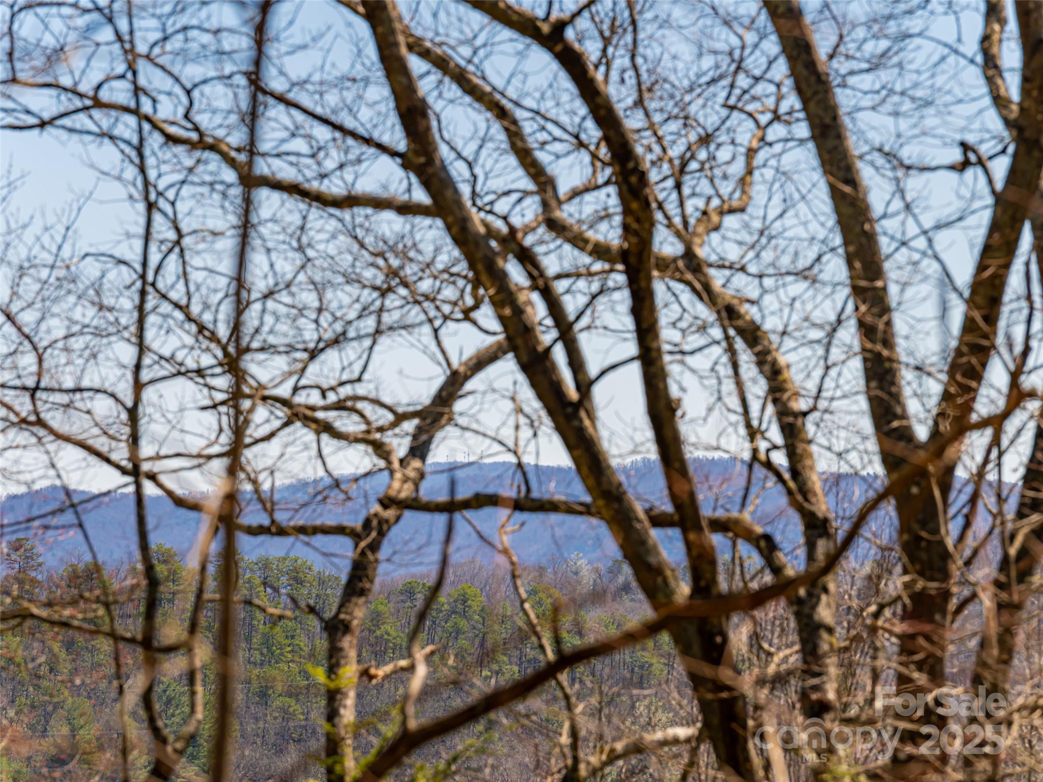 75 Deep Woods Road Mills River, NC 28759 - Photo 34 of 48 a view of a backyard of the house
