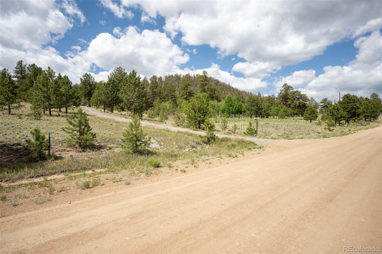 730 Lariat Loop Hartsel, CO 80449 - Photo 41 of 50