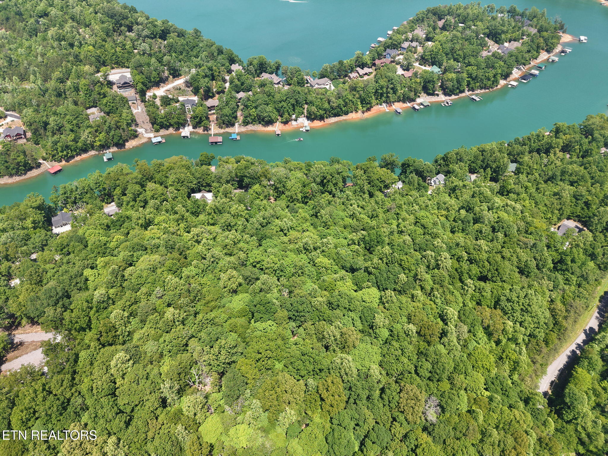 Yoakum Hollow Road Jacksboro, TN 37757 - Photo 3 of 17 13-web-or-mls-DJI_20260518131557_0036_D