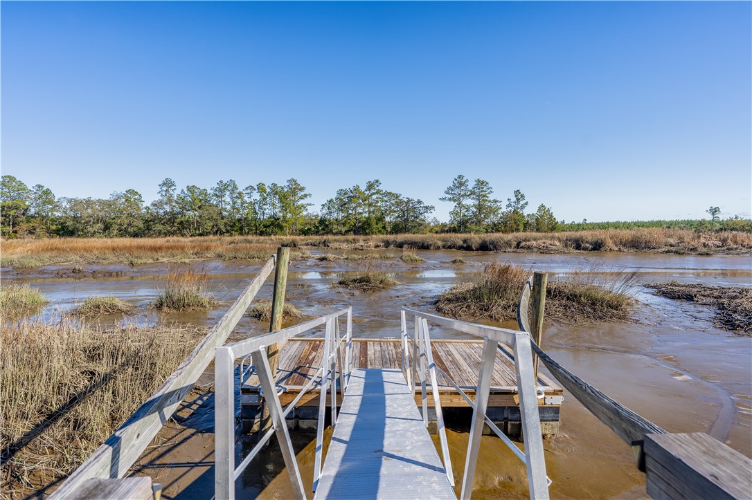 1484 Horseshoe Cove Road Waverly, GA 31565 - Photo 4 of 46