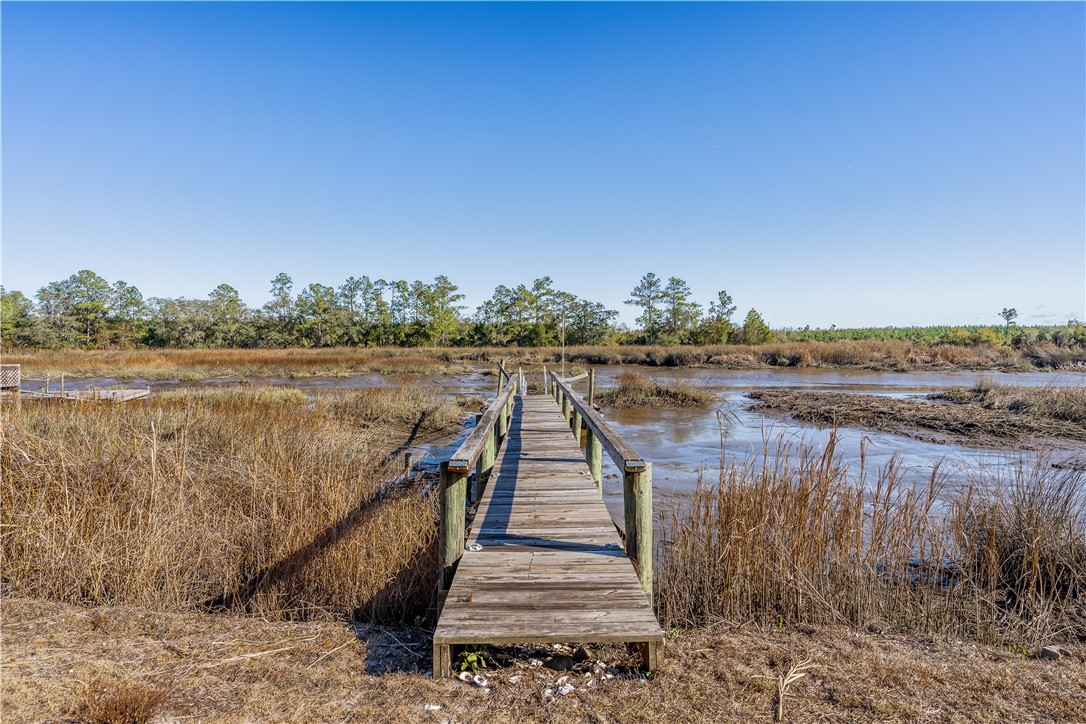 1484 Horseshoe Cove Road Waverly, GA 31565 - Photo 43 of 46