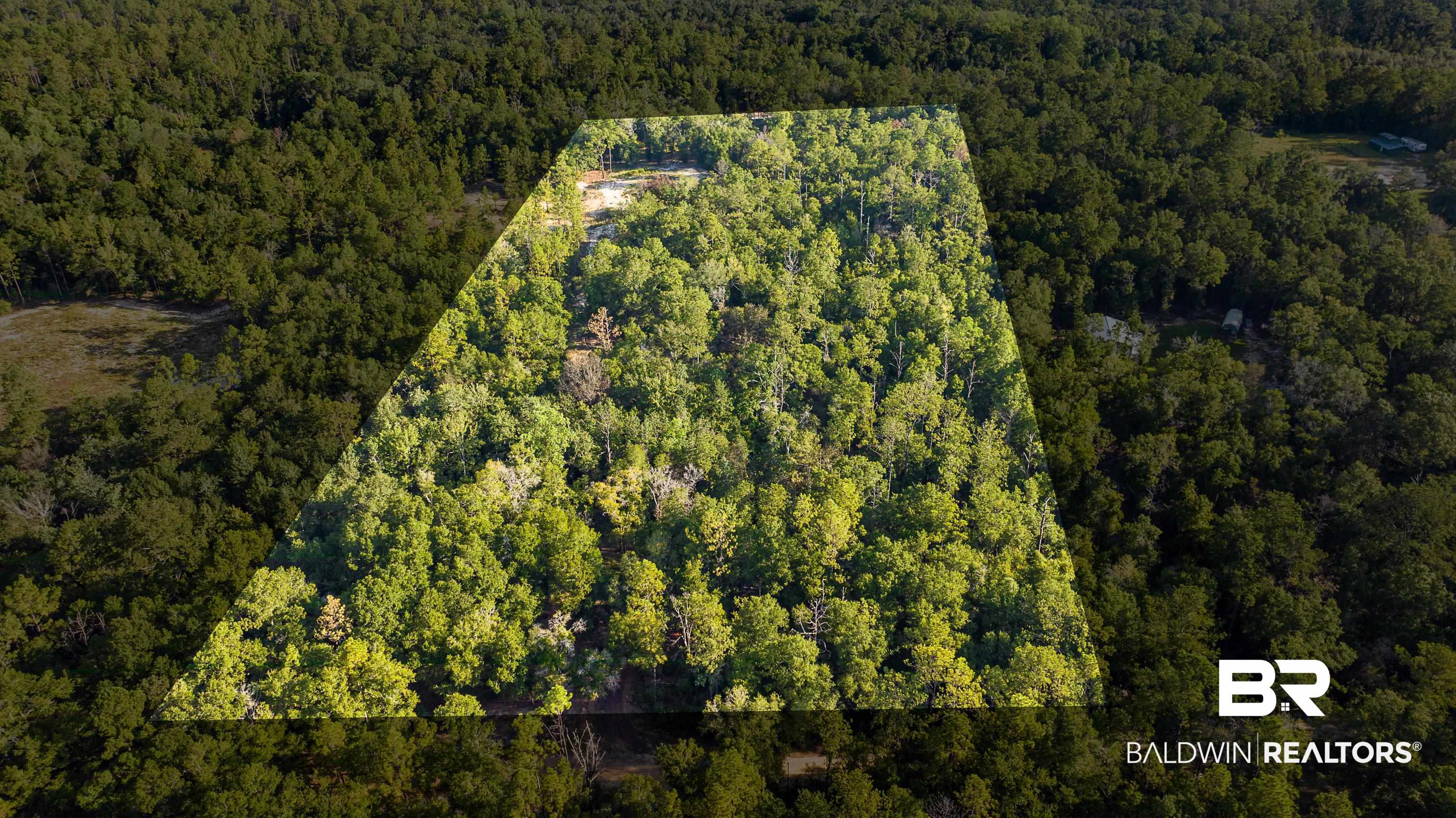 8190 Dixon Road Bay Minette, AL 36507 - Photo 2 of 13