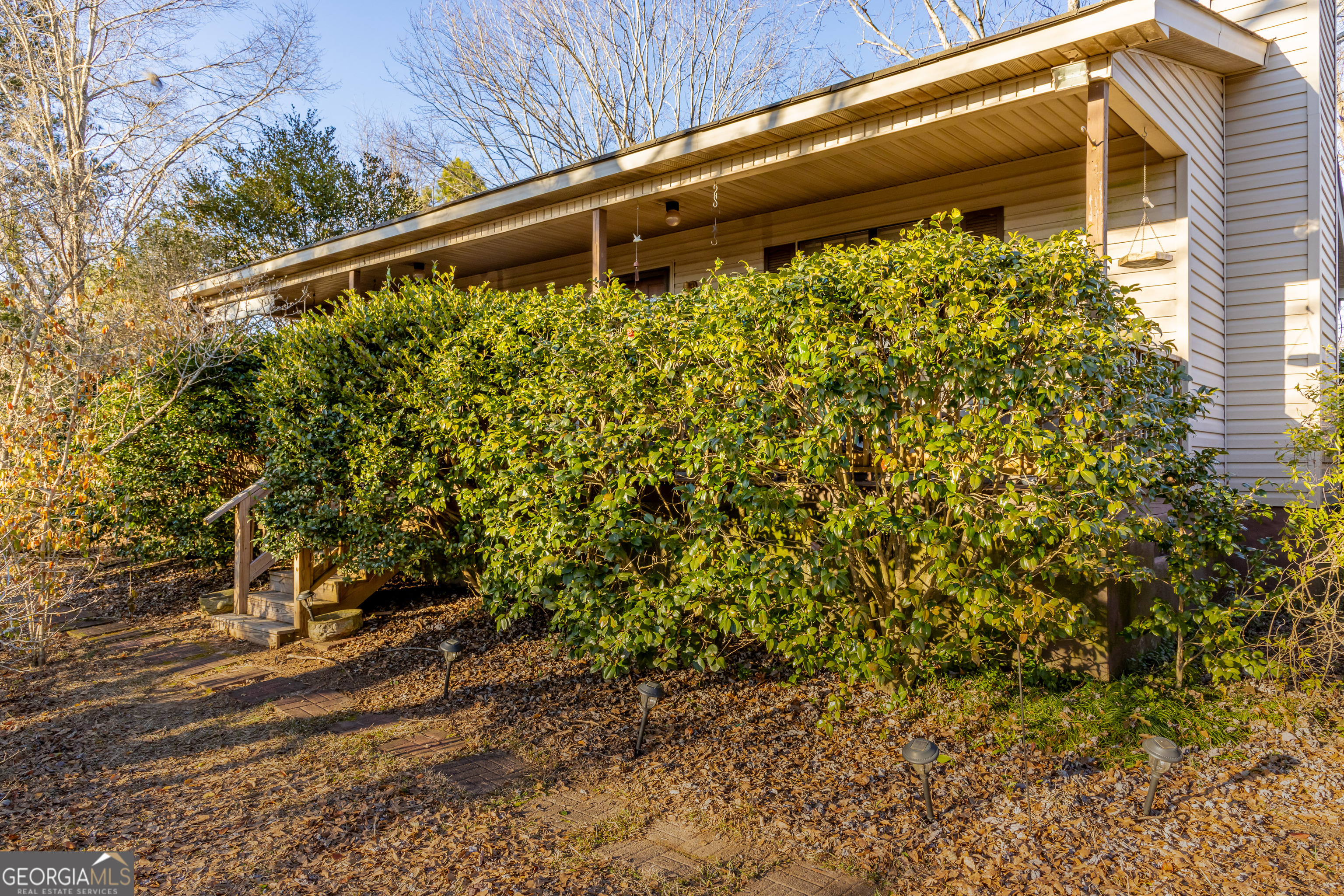a view of a yard