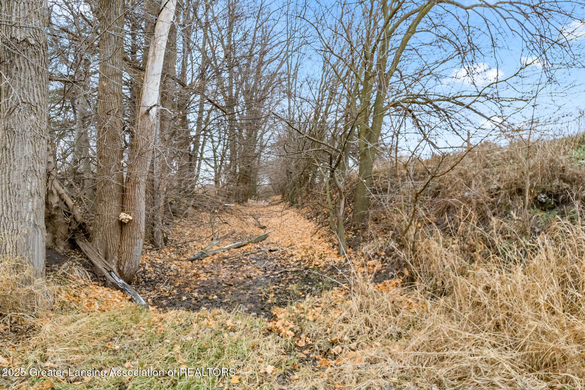 6865 South State Road Ashley, MI 48806 - Photo 15 of 32 6865 S State Rd Ashley MI-122