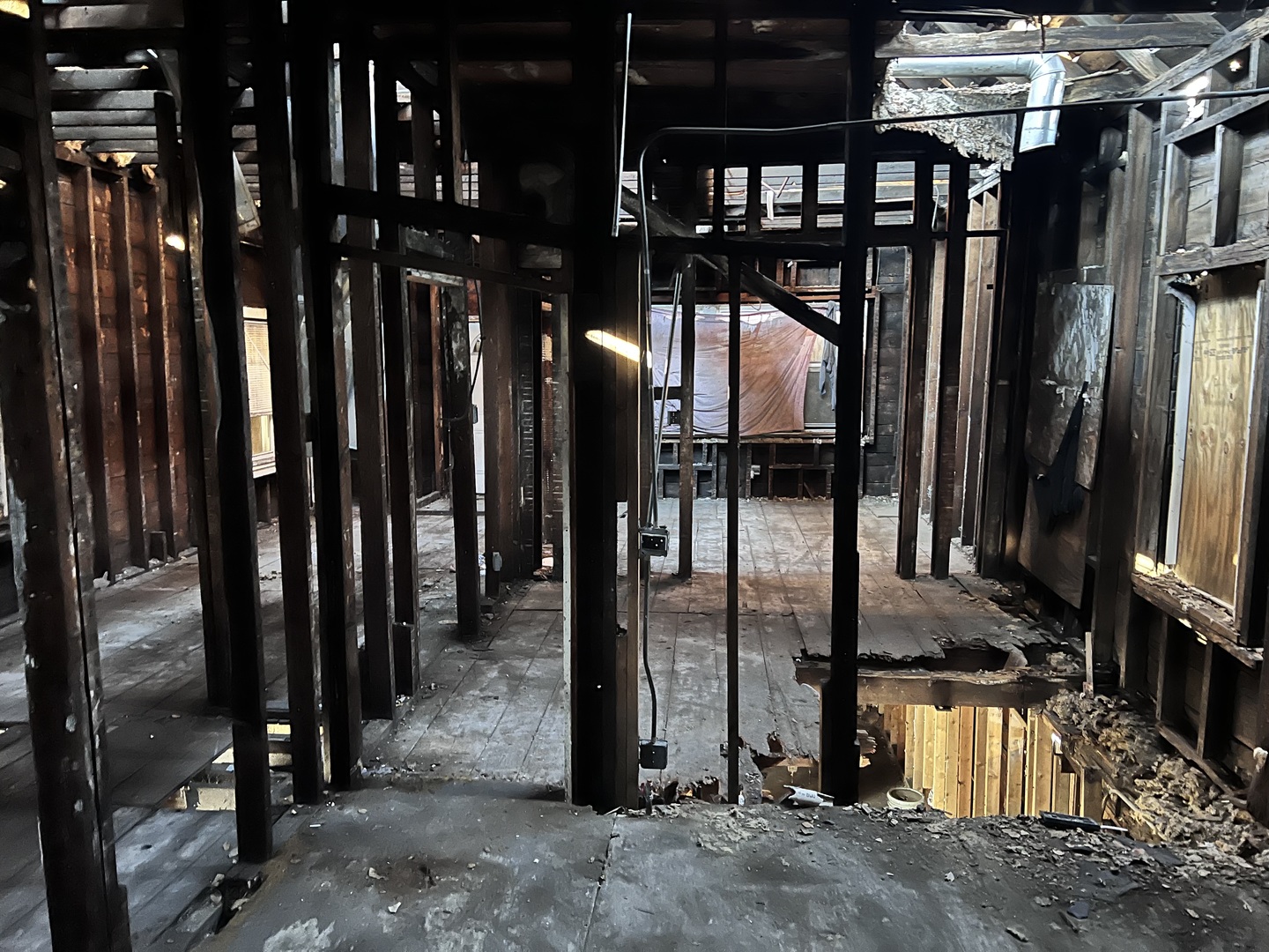 4801 South Princeton Avenue Chicago, IL 60609 - Photo 4 of 10