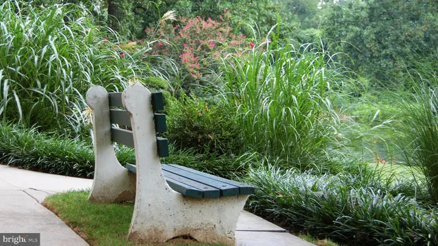 a view of a flower in a garden