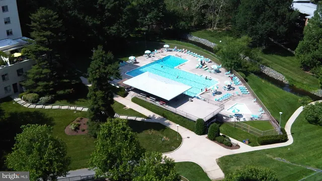 a view of a yard with plants and wooden fence