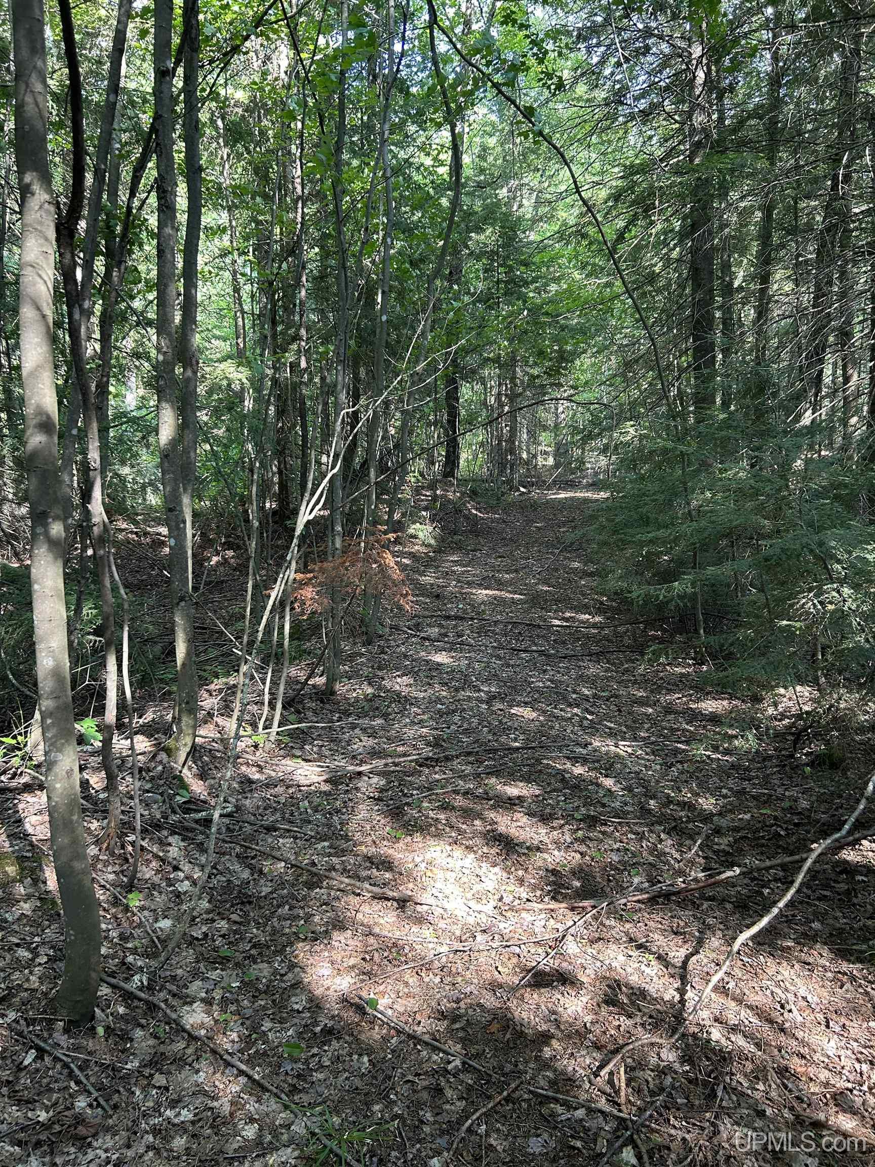 Tbd Tbd Ski Hill Road Little Lake, MI 49833 - Photo 28 of 29