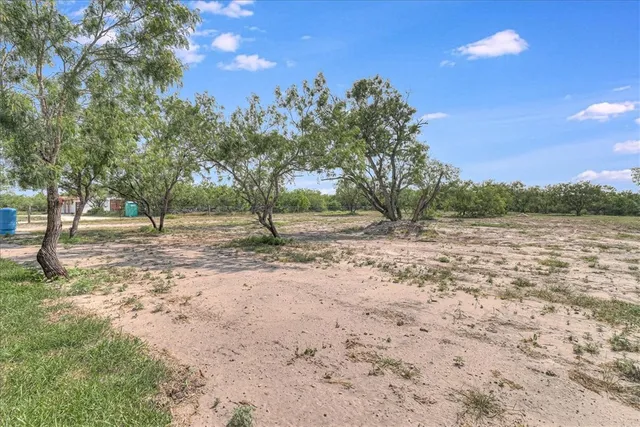 a view of outdoor space with deck and trees