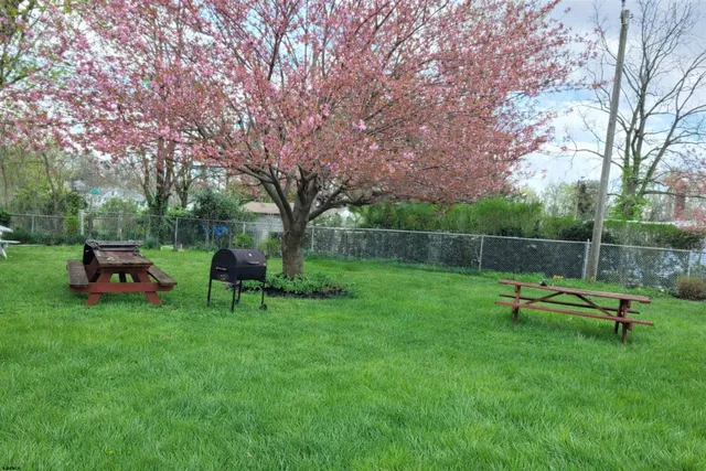 a view of park with bench and trees