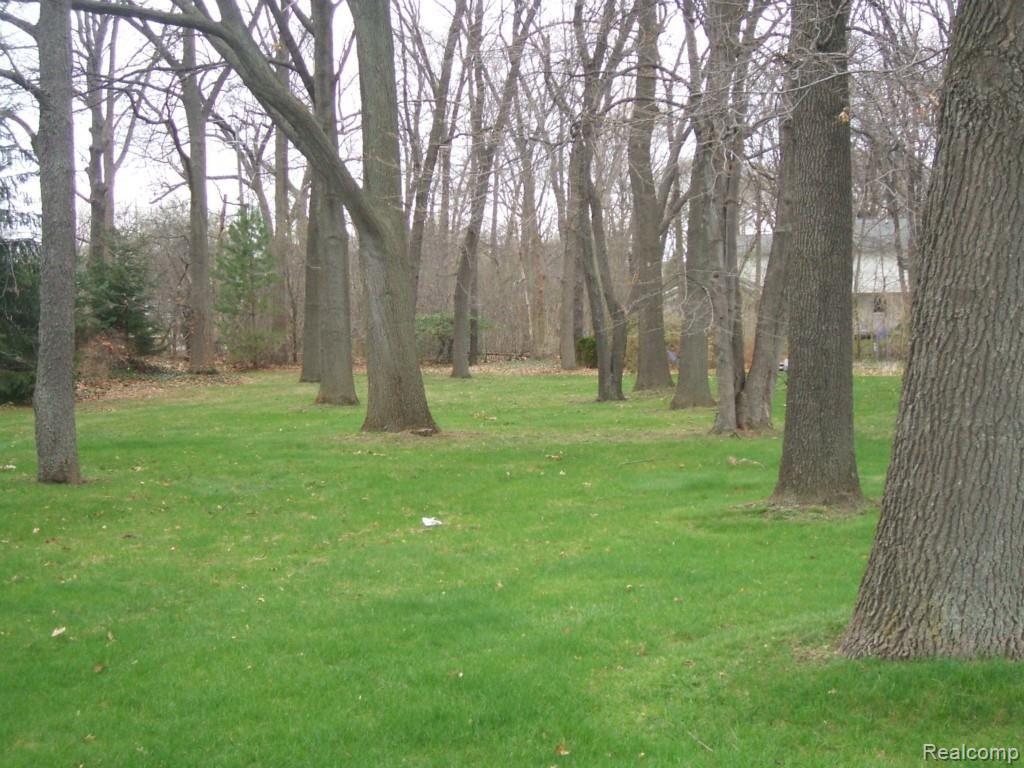 7135 Bingham Road Bloomfield Hills, MI 48301 - Photo 26 of 26 21aa Lovely Yard Bingham7135_43.jpg