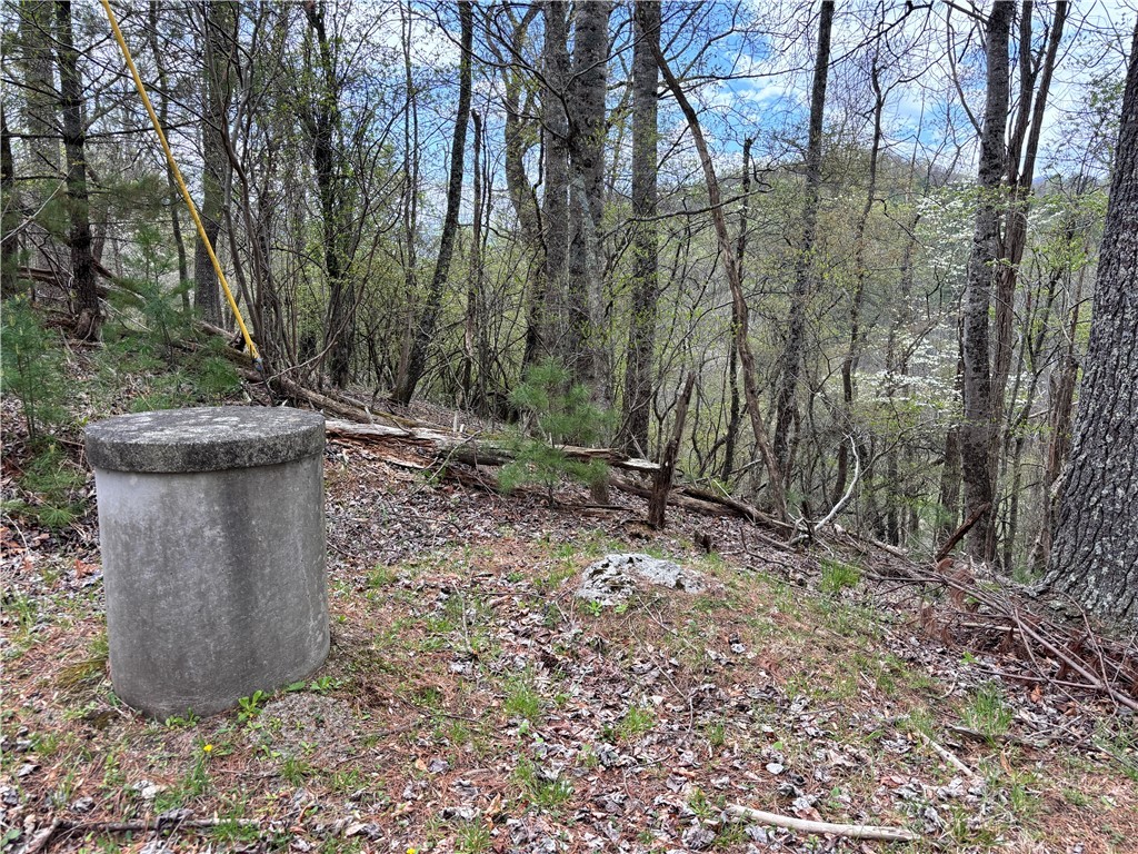 150 Turkey Ridge Crumpler, NC 28617 - Photo 40 of 40