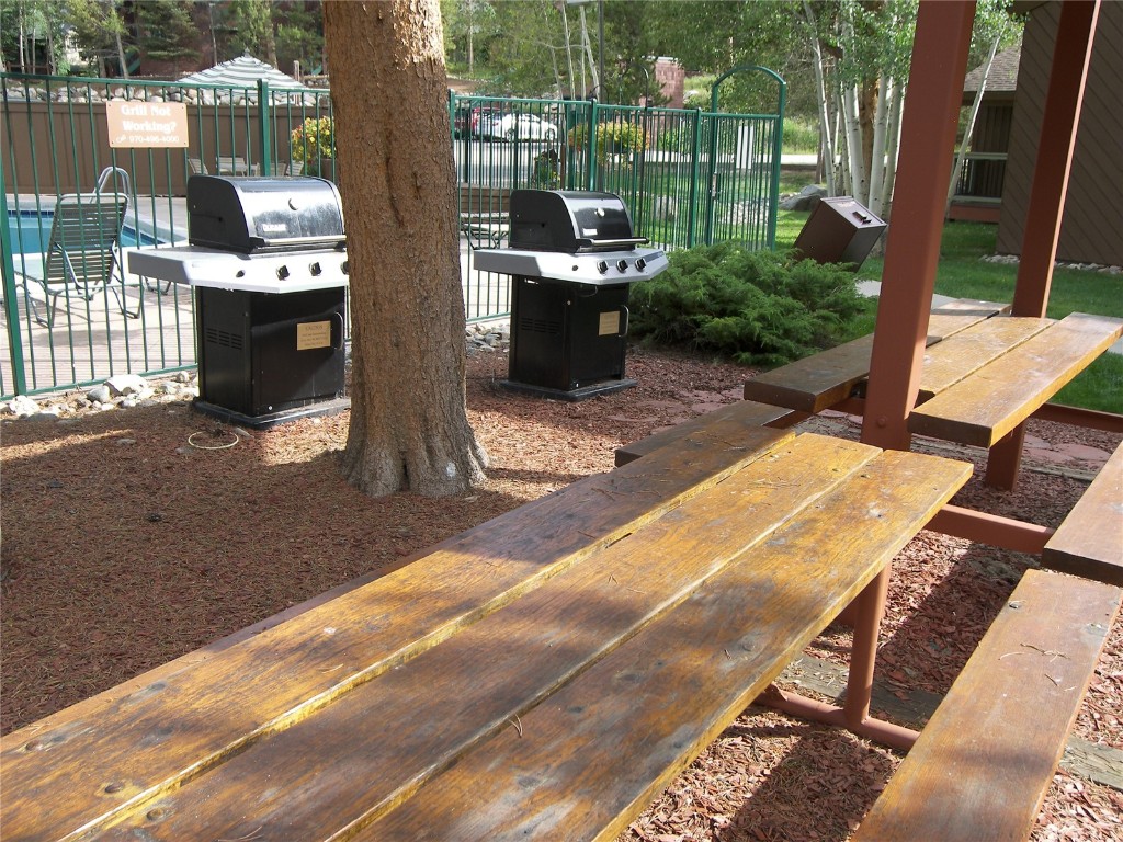 373 Wild Irishman Road, Unit 1071 Keystone, CO 80435 - Photo 19 of 22 View of patio with grilling area