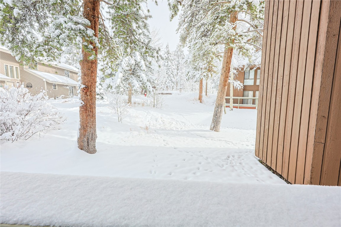373 Wild Irishman Road, Unit 1071 Keystone, CO 80435 - Photo 20 of 22 View of yard covered in snow