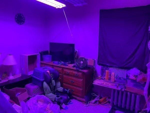 15 Varney Street Lowell, MA 01854 - Photo 29 of 32 a room with a bed