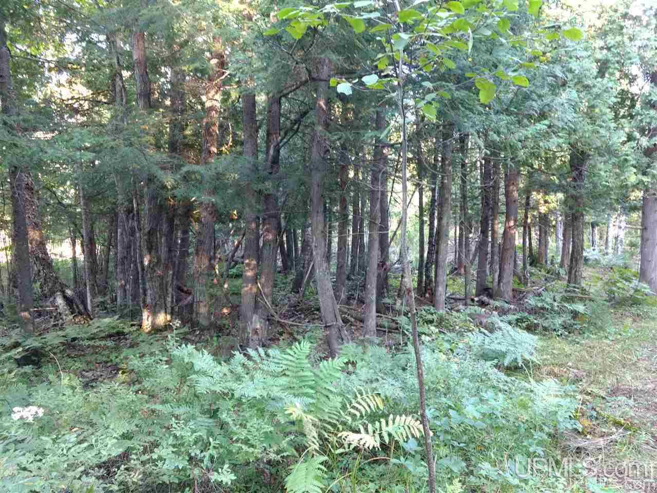 Tbd Sandstone B Road Lake Linden, MI 49945 - Photo 6 of 50