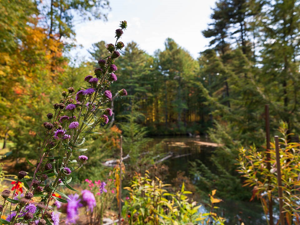 55 Mill Pond Road Durham, NH 03824 - Photo 36 of 40 Gallery Image 36