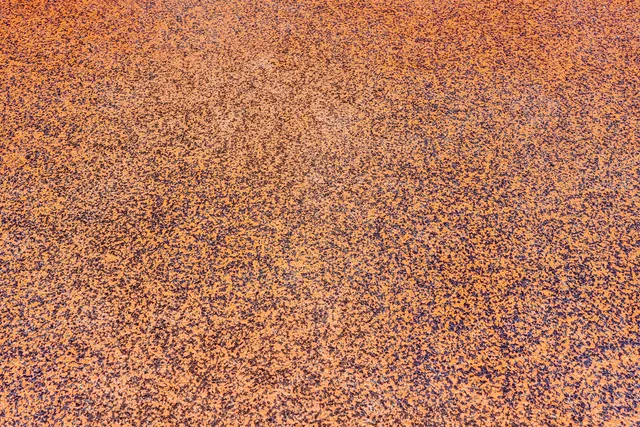 $1,980,000 | 7680 Cavern Lane, Parkland, FL 33067