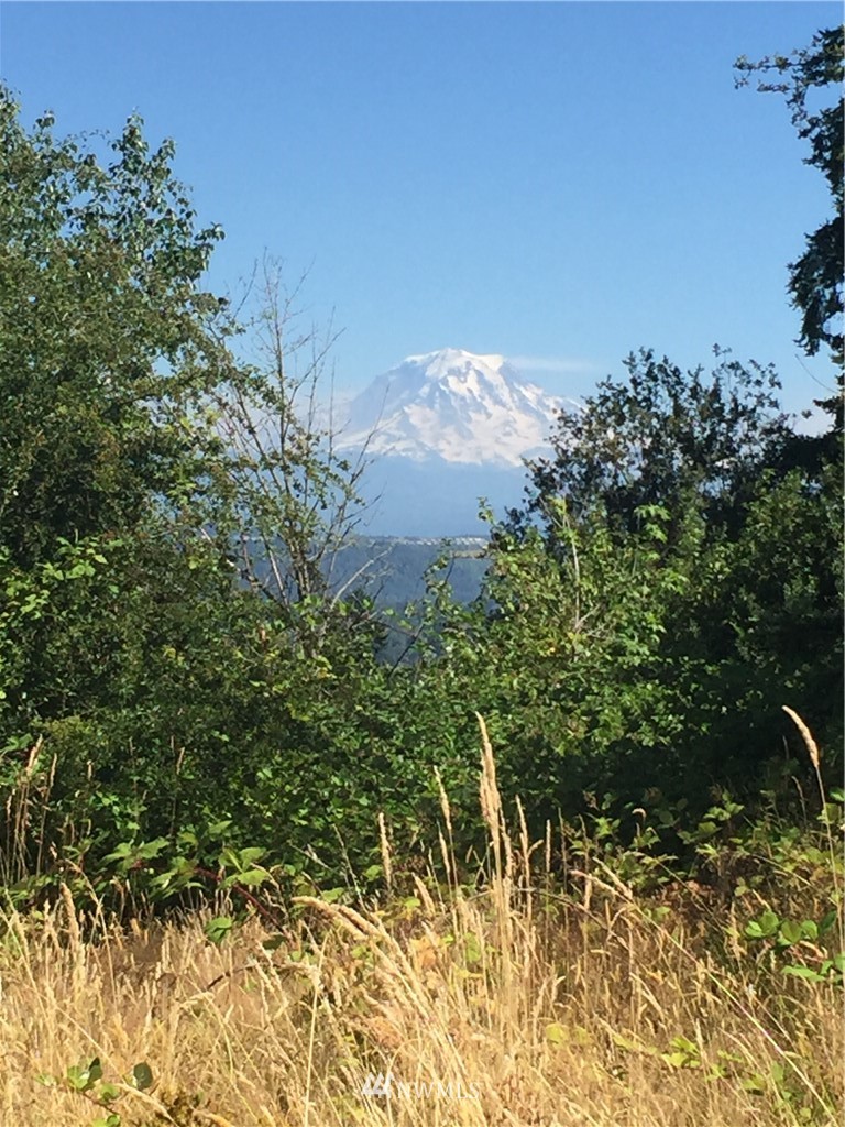 0 Caldwell Road East Edgewood, WA 98372 - Photo 1 of 5 Gallery Image 1
