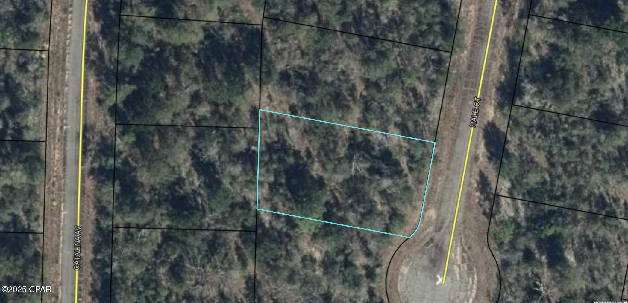 0 Hale Court Chipley, FL 32428 - Photo 2 of 2