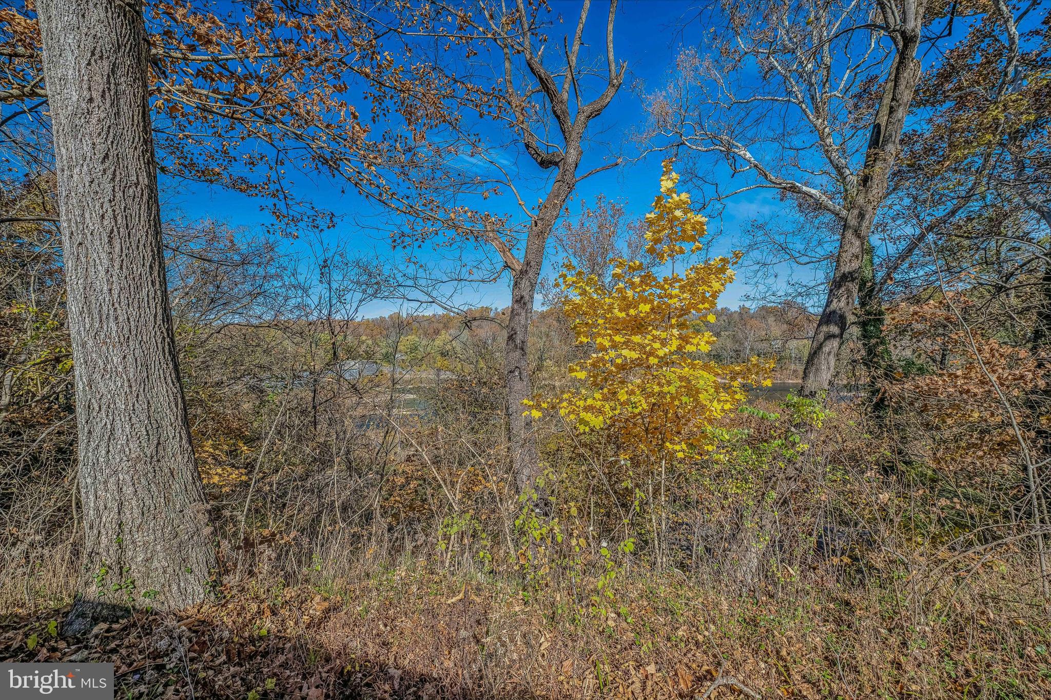 796 Dam Four Road Shepherdstown, WV 25443 - Photo 62 of 71