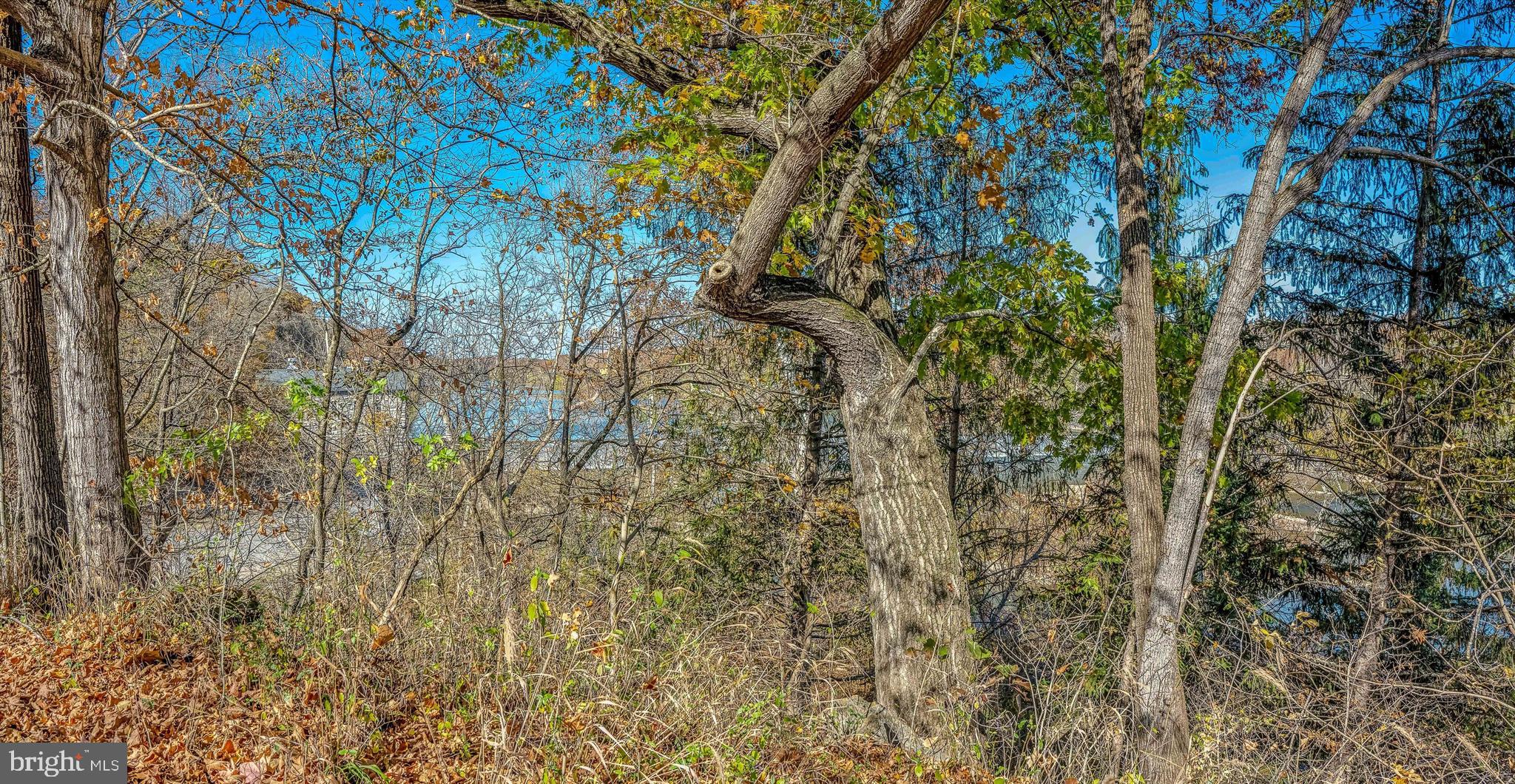 796 Dam Four Road Shepherdstown, WV 25443 - Photo 68 of 71
