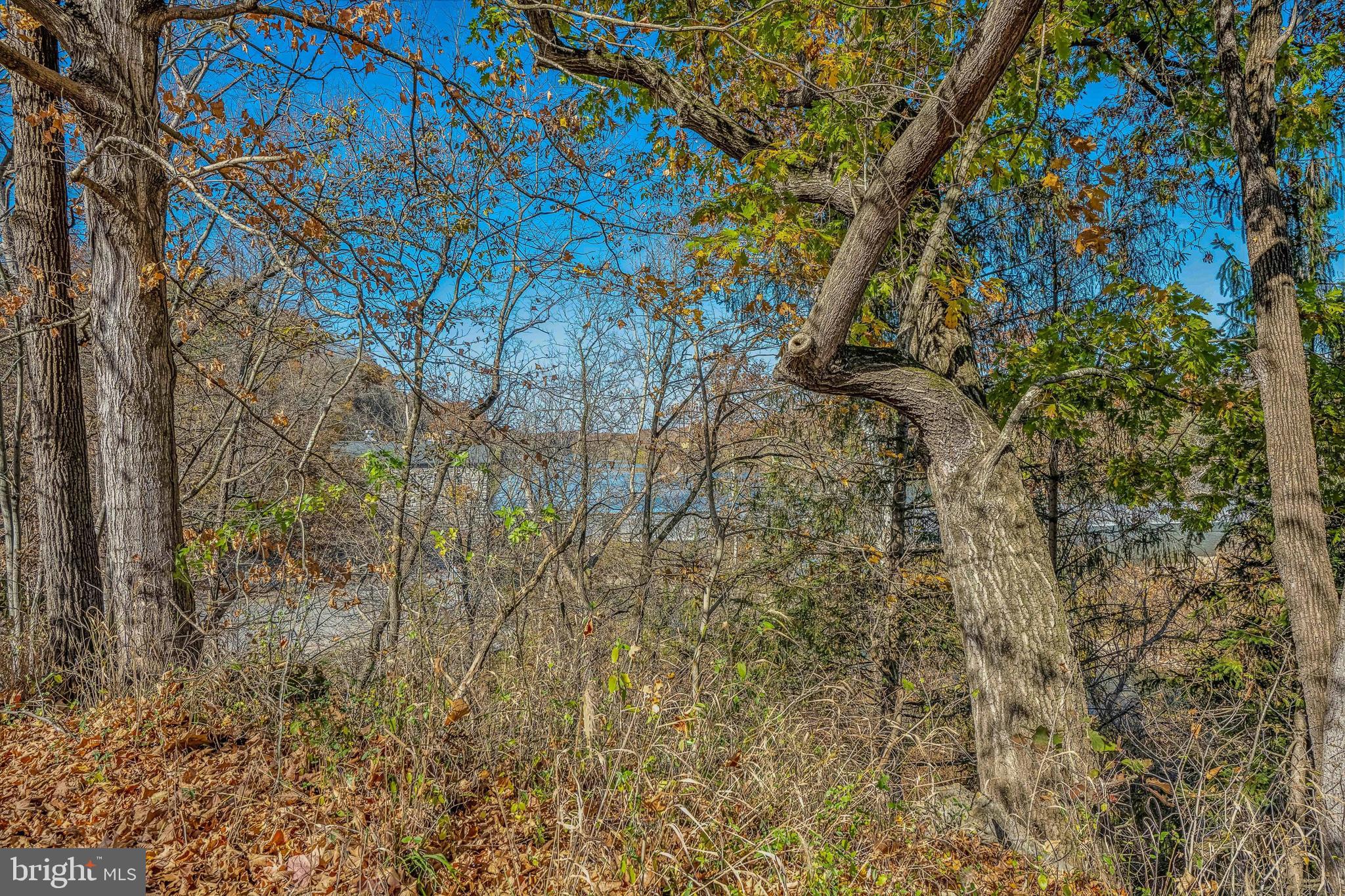 796 Dam Four Road Shepherdstown, WV 25443 - Photo 71 of 71