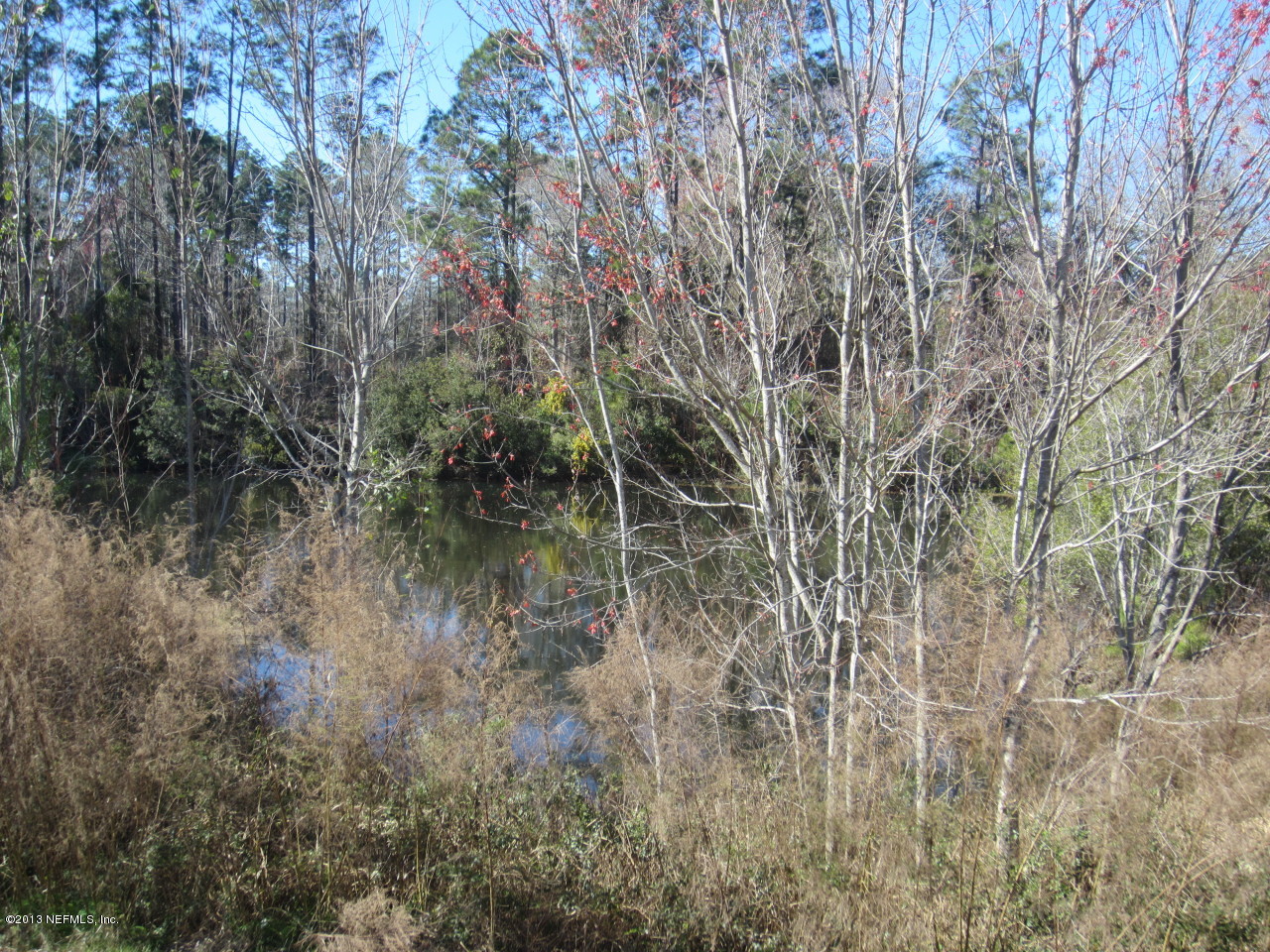 1050 Cactus Cut Road Middleburg, FL 32068 - Photo 11 of 54 a view of a lake with a tree