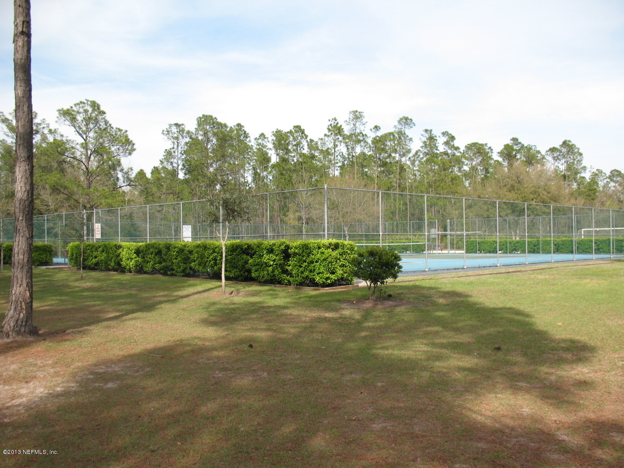 1050 Cactus Cut Road Middleburg, FL 32068 - Photo 43 of 54 a view of a backyard